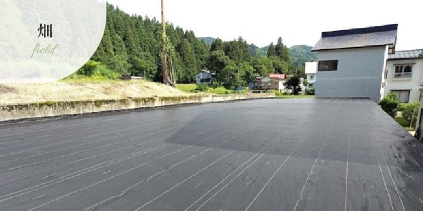 防草シート畑の事例