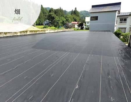 防草シート畑の事例