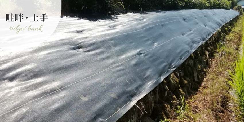 防草シート畦畔・土手の事例