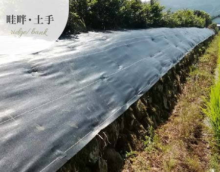防草シート  新品　未開封 防草シート／緑化マルチフェルトVer600 2m×25m