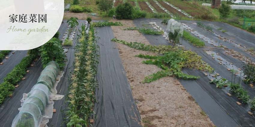 防草シート家庭菜園の事例