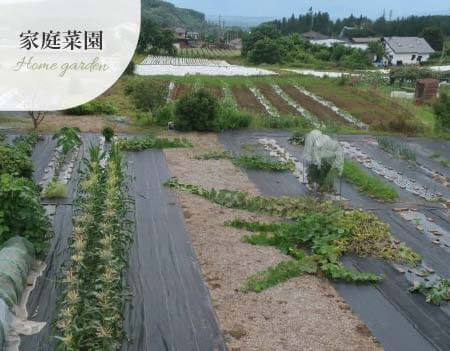 防草シート家庭菜園の事例
