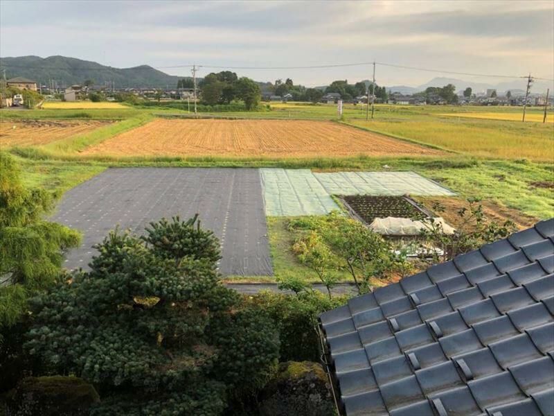 らくらく草なしシート」2m×25m | 防草シート専門店 防草シート. com