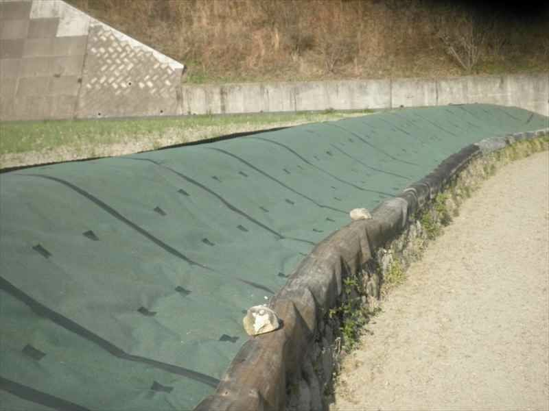 とことん草なしシートへの使用事例です。