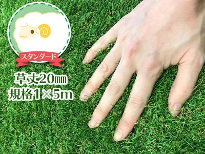 人工芝用両面テープ 10cm×15m | 防草シート専門店 防草シート. com